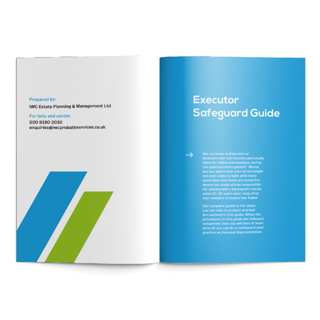 Executor Safeguard Guide