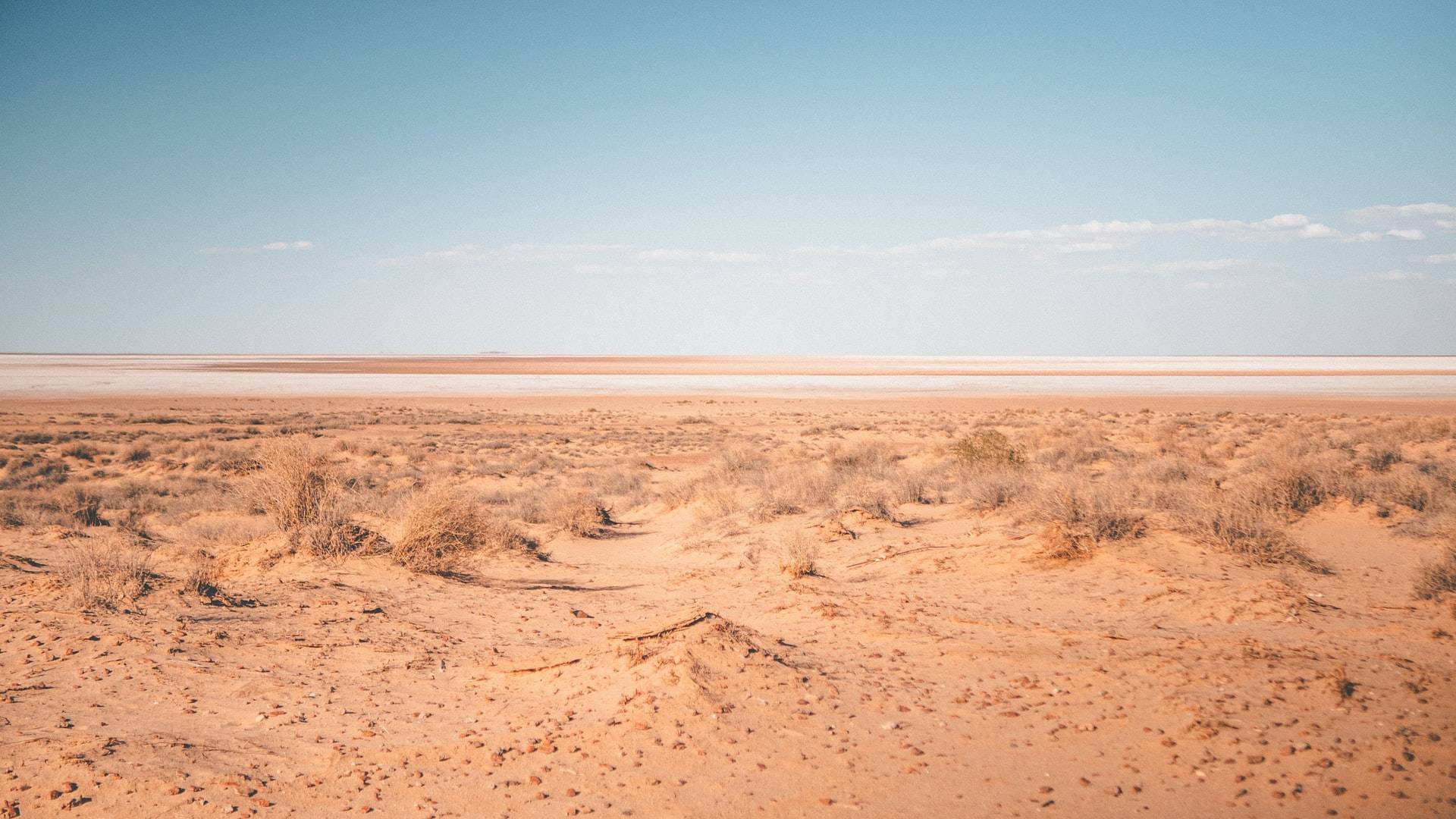 Intestacy – Theres No Will What Should I Do Intestacy - Theres No Will What Should I Do