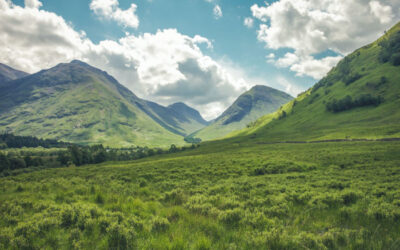 Facts About Probate and Wills You May Not Know