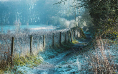 Why Do More People Pass Away Over Winter?