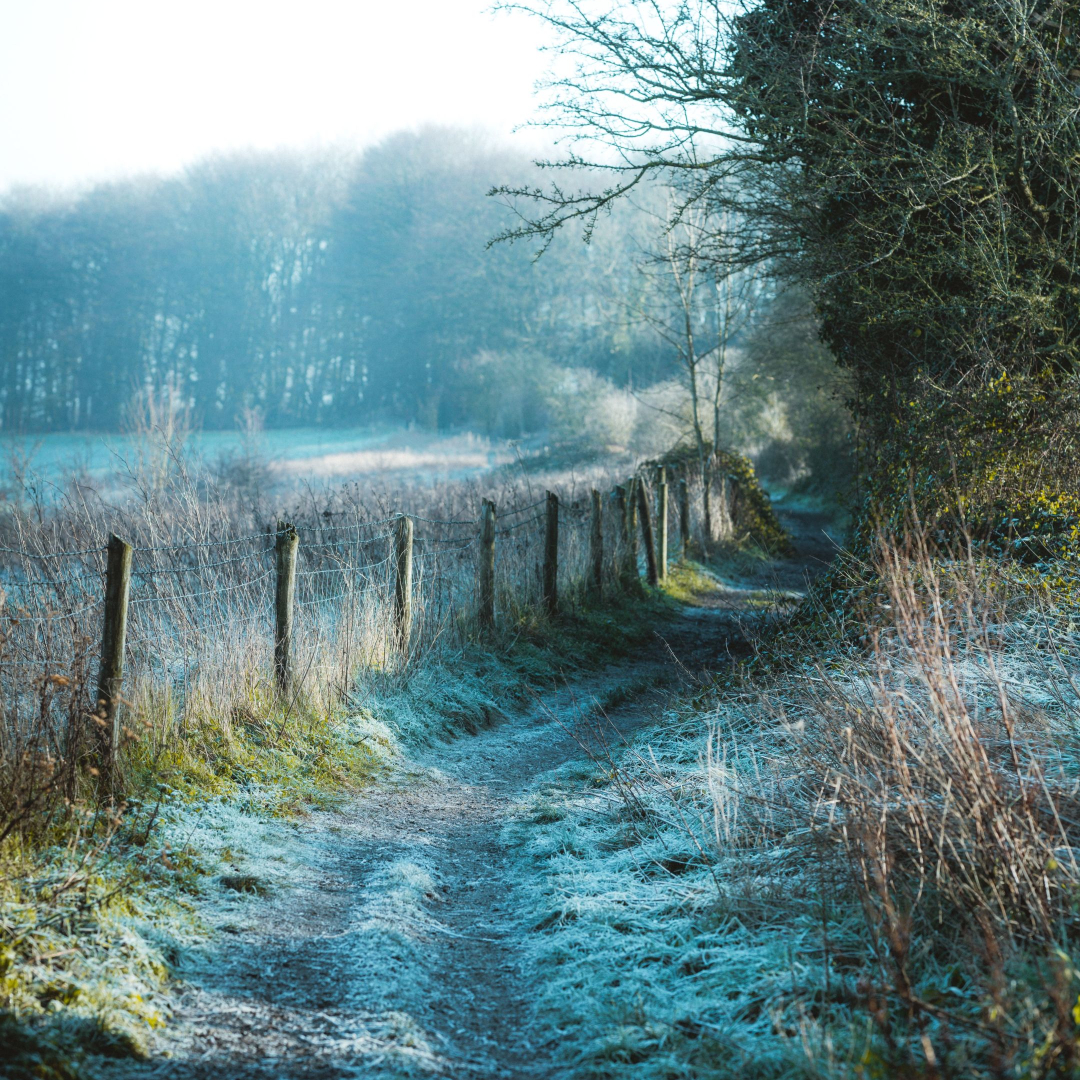 stencil.instagram-photo – 2025-09-18T104120.148 Most of us know that generally, more deaths tend to occur in the winter months. However, what is the cause of this? This blog discusses why there are more deaths in winter than any other season.